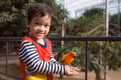 Vietnam tiene su primer parque Safari zoológico