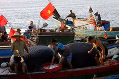 Vietnam e Indonesia discuten delimitación de Zona Económica Exclusiva
