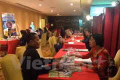 Vietnam promueve turismo en Indonesia