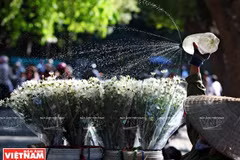 Margarita, señal de invierno en calles de Hanoi 