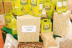 Exportación vietnamita de anacardo registra notable incremento