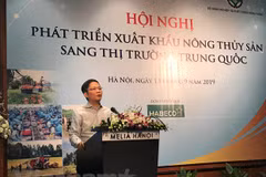Ministros de Vietnam intensifican coordinación para impulsar exportación agrícola a China ​