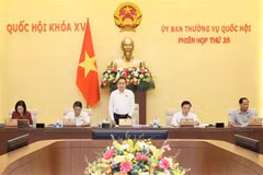 El titular parlamentario Tran Thanh Man interviene en la 35 reunión del Comité Permanente de la Asamblea Nacional. (Fuente: VNA)