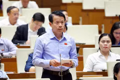 Nguyen Hai Dung, diputado de la provincia de Nam Dinh, interviene en el evento. (Fuente: VNA)