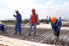Laborantes en la provincia de Phu Yen (Fuente: VNA)