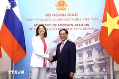 El canciller vietnamita, Bui Thanh Son, y la viceprimera ministra y titular de Asuntos Exteriores y Europeos de Eslovenia, Tanja Fajon. (Fuente: VNA)