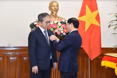 El ministro vietnamita de Relaciones Exteriores, Bui Thanh Son, entrega la medalla conmemorativa “Por la causa de la diplomacia vietnamita” al embajador japonés en Vietnam, Yamada Takio. (Fuente: TGVN)