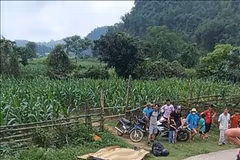 Escena del accidente (Fuente:VNA)