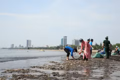 Apoya Vietnam tratado global sobre contaminación plástica