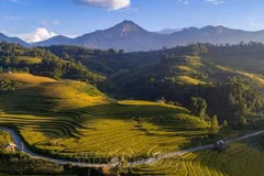 Lao Cai refresca su imagen para conquistar objetivo de recibir a 8,5 millones de visitantes