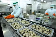 Promueven producción sostenible de almejas vietnamitas
