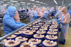 Desafíos para la exportación de productos acuáticos vietnamitas en 2024