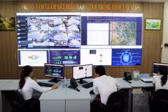 Vietnam establecerá red nacional para transformación digital