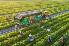 Desarrollan agricultura circular para promover exportaciones sostenibles en Vietnam