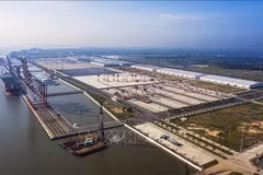 Buscan impulsar transformación digital en servicios logísticos en Delta del Mekong