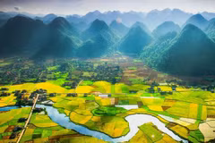 Vietnam tiene casi 1,2 millones de hectáreas de tierra baldía