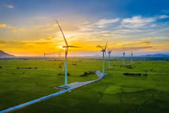 Economía verde, clave para el desarrollo sostenible en Vietnam