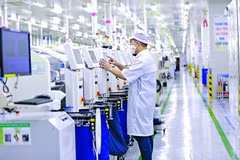 Sector minorista de Vietnam aprovecha oportunidades de tecnología digital