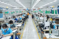 Impulsan desarrollo integral del mercado laboral en Sudeste de Vietnam