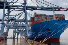Vietnam busca desarrollar flota de transporte marítimo internacional 