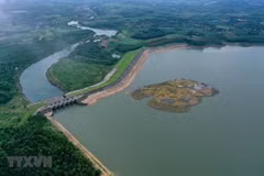 Sector ambiental de Vietnam logra notables resultados en 2020 pese a dificultades 