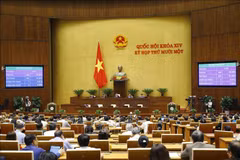 Parlamento vietnamita prosigue perfeccionamiento del aparato del personal