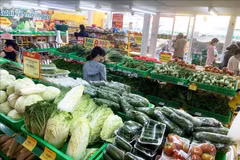 Llevan productos vietnamitas con estándares de exportación a canales minoristas internos
