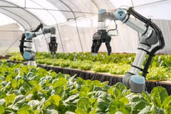 Hanoi aplica tecnologías de la Industria 4.0 en la agricultura