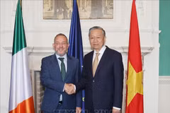 El secretario general del Partido Comunista y presidente de Vietnam, To Lam, y el titular del Senado (Seanad Éireann), Jerry Buttimer. (Fuente:VNA)