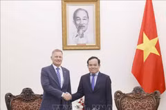Vicepremier vietnamita recibe a gerente de grupo danés LEGO. (Fuente:VNA)