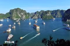 Bahía de Ha Long y Sa Pa entre los cinco destinos de tendencia mundial