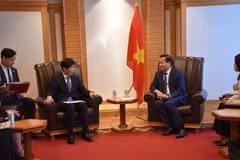 El viceprimer ministro vietnamita Le Minh Khai recibe a Yamamoto Ichita, gobernador de la prefectura de Gunma. (Fuente:VNA)