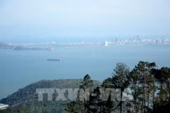 Grupo indio Adani intenta invertir dos mil millones de dólares en puerto vietnamita de Lien Chieu. (Fuente:VNA)