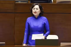 La gobernadora del Banco Estatal de Vietnam (BEV), Nguyen Thi Hong (Fuente: VNA)