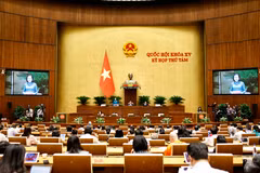 Los diputados de la Asamblea Nacional de Vietnam de la XV Legislatura continúan hoy los debates del octavo período de sesiones (Fuente: VNA)