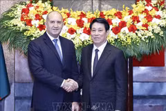 El presidente de Vietnam, Luong Cuong (derecha), y su par búlgaro Rumen Radev (Fuente: VNA)
