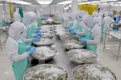 Importadores estadounidenses de mariscos muestran interés en Vietnam