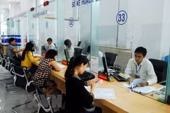 Reportan en Vietnam casi 13 mil empresas nuevas en seis meses