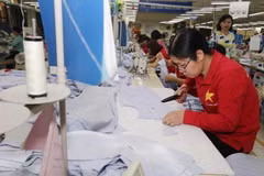 Atrae provincia survietnamita de Dong Nai más de 373 millones de dólares de inversión extranjera