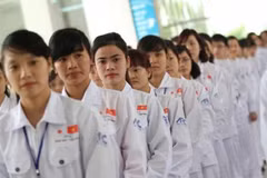 Destacan a Japón y Taiwán scomo los mejores mercados para la mano de obra de Vietnam en 2019