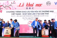 Culmina V Festival de Intercambio Cultural Vietnam-Japón
