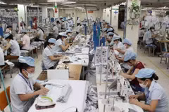 Recomiendan a empresas de confecciones textiles vietnamitas que aprovechen TLC con UE