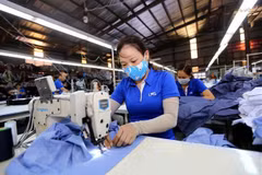 Sugieren a empresas vietnamitas diversificar relaciones comerciales para aprovechar CPTPP