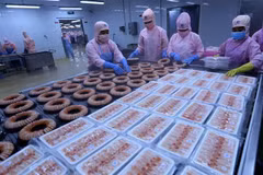 Debaten representantes de la OIT y de Vietnam sobre solución de disputas laborales