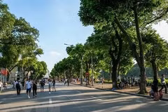 Organizan en Vietnam actividades por el Día Mundial de Medio Ambiente 