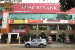 Asistirá Corea del Sur a la conversión del banco vietnamita Agribank en sociedad anónima
