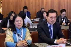 Participa Vietnam en Conferencia Internacional de la Cruz Roja y la Media Luna Roja