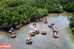 Cam Thanh, tierra de las palmas de agua