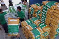 Propone la UE tarifas proteccionistas sobre arroz importado de Cambodia y Myanmar