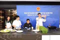 Celebran en Sudáfrica Festival Cultural de ASEAN 